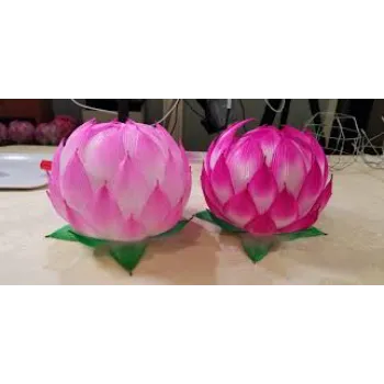 Glossy Lotus Plant